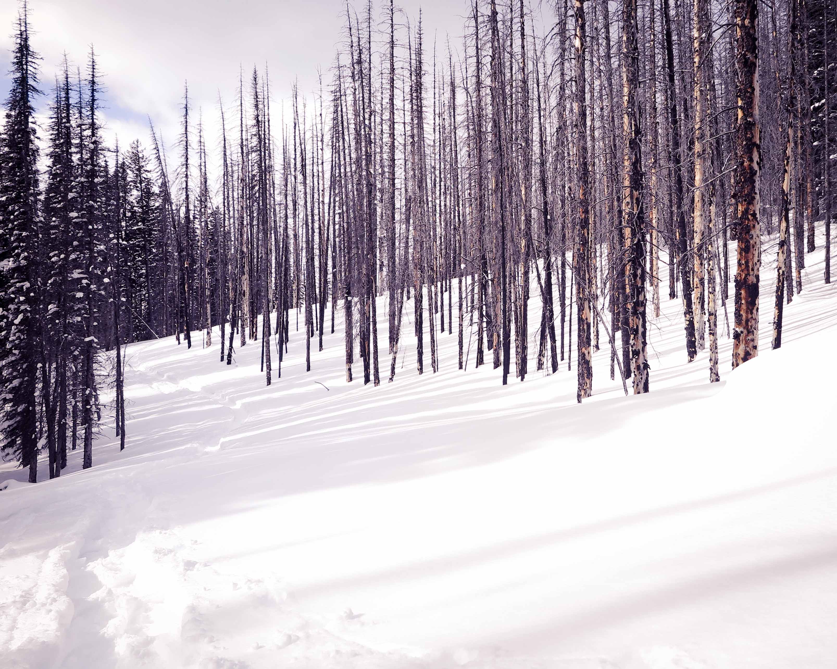 Snowshoeing at Rummel Ridge Mountain Conditions Report